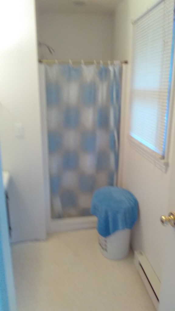 230 Tobacco Road Sheffield, PA 16347 - Photo 10 of 11 Gallery Image 10