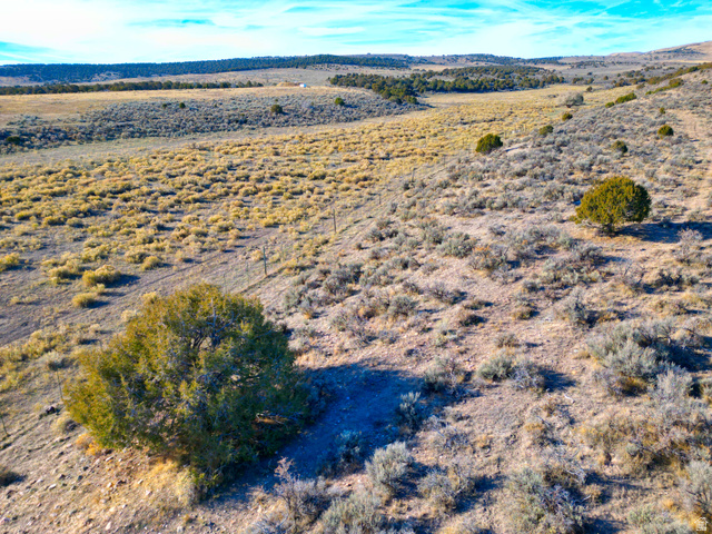 21845 West Cemetery Road Fairview, UT 84629 - Photo 14 of 18