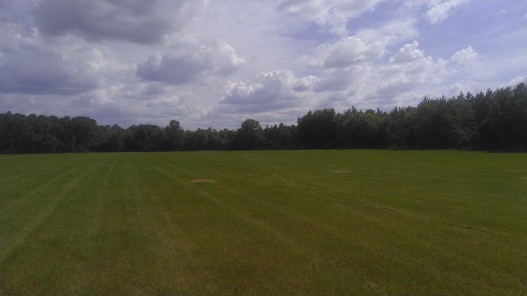 0 Bateman Avenue Slocomb, AL 36375 - Photo 3 of 5