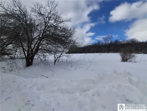 $175,000 | 9339 County Road 23, Rushford, NY 14744