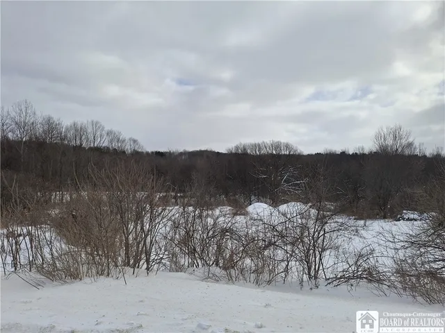 $175,000 | 9339 County Road 23, Houghton, NY 14744