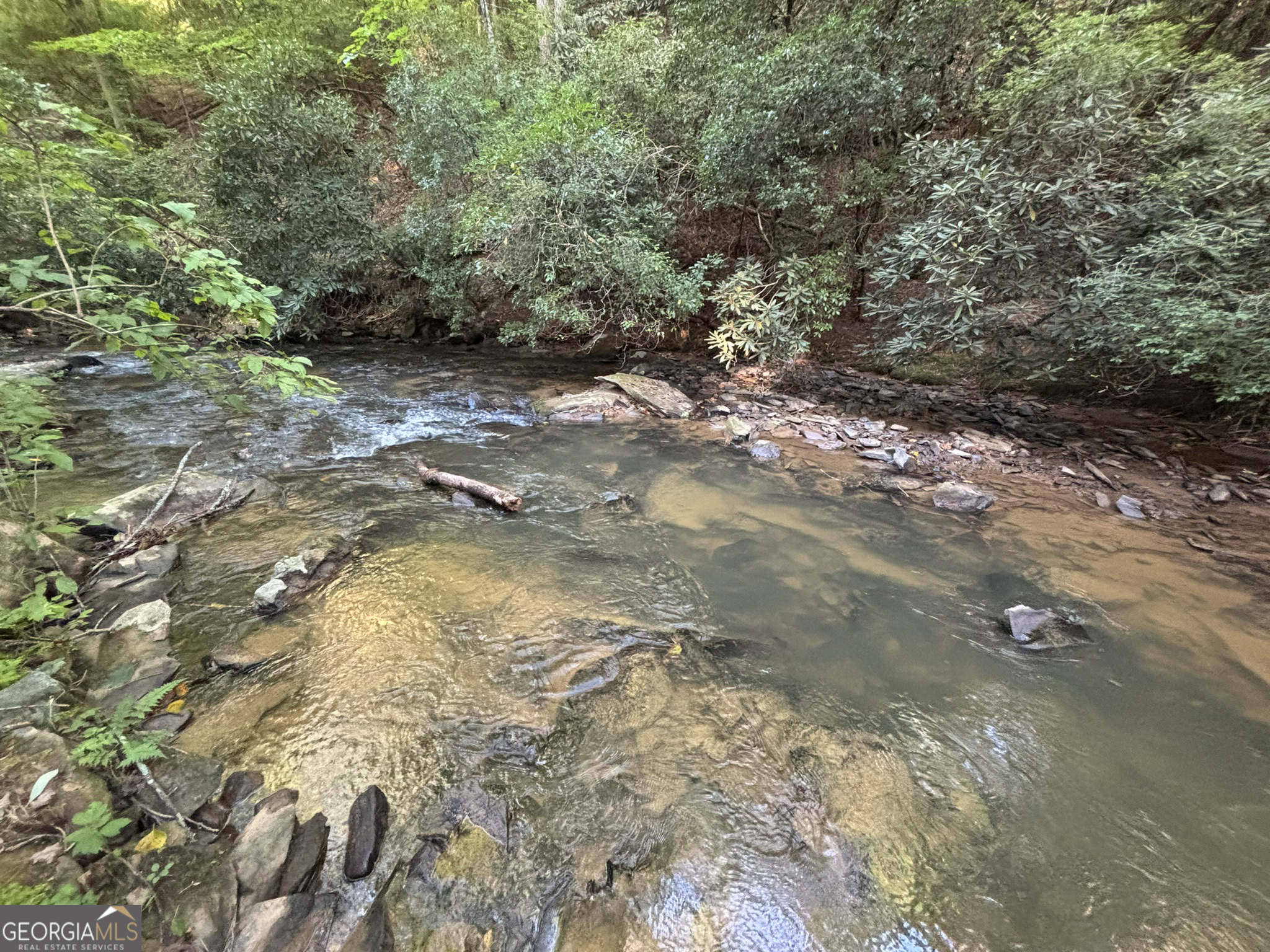 Lot 18 Mt Springer Road Ellijay, GA 30540 - Photo 27 of 31