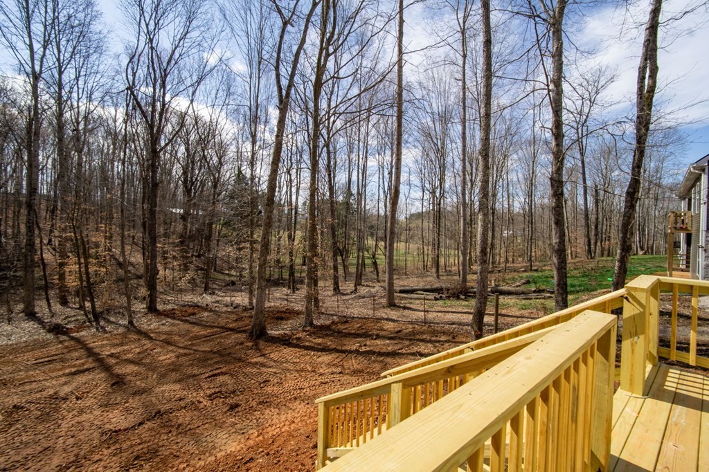 478 Hickory Lane Sparta, TN 38583 - Photo 38 of 43 a view of mountain with trees