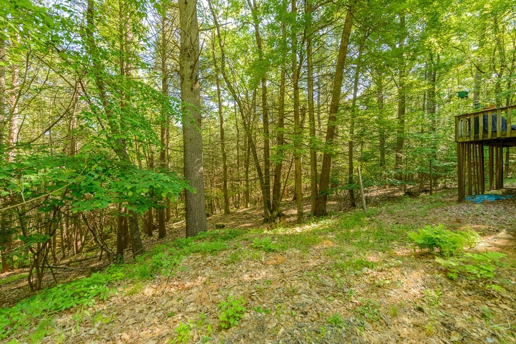 113 West Street Pepperell, MA 01463 - Photo 34 of 35