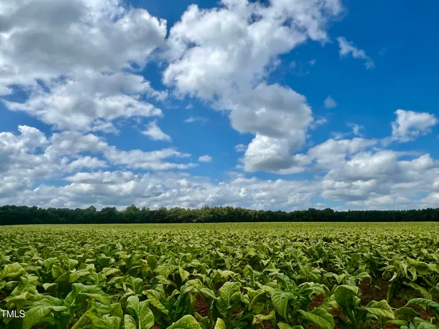 a view of a wooden wall