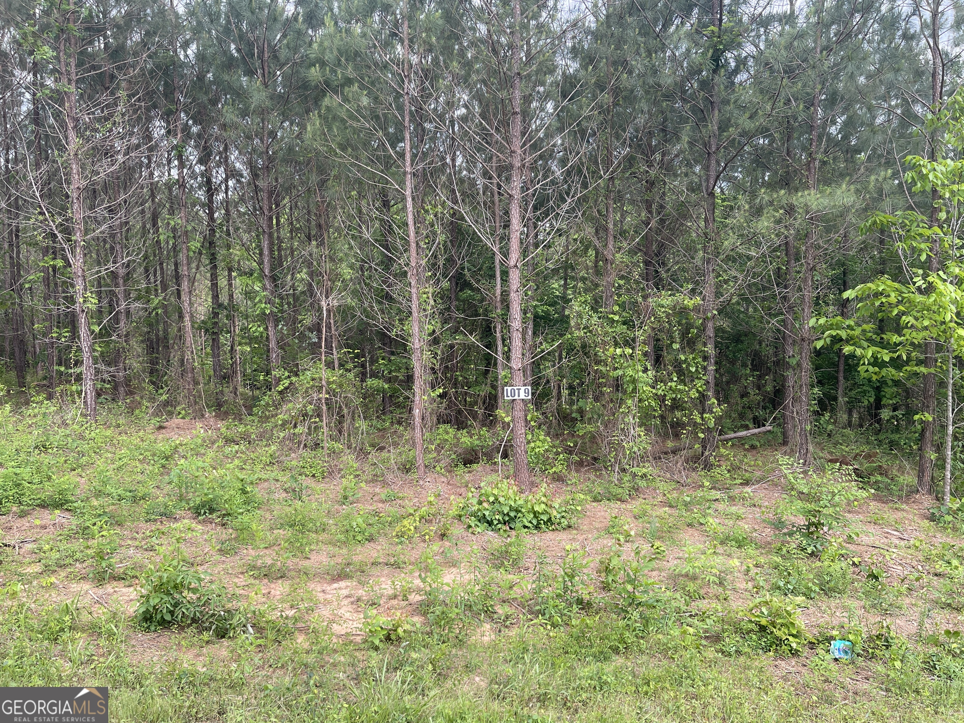 0 Bevis Rd Parcel 9 Franklin, GA 30217 - Photo 3 of 5 a view of outdoor space and green space