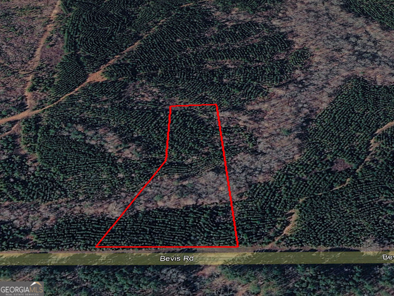 0 Bevis Rd Parcel 9 Franklin, GA 30217 - Photo 4 of 5 a view of a yard