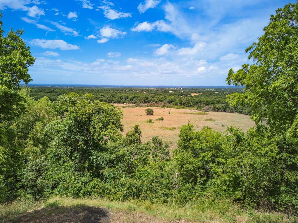 Lot 4 Old Decatur Road Decatur, TX 76234 - Photo 5 of 34
