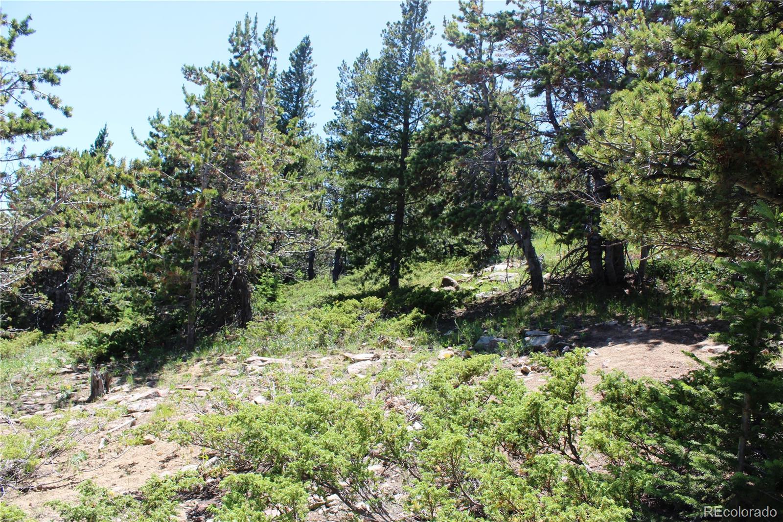 1595 Missouri Gulch Road Black Hawk, CO 80422 - Photo 12 of 49