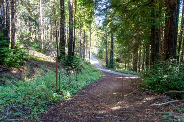 a view of a house with large trees