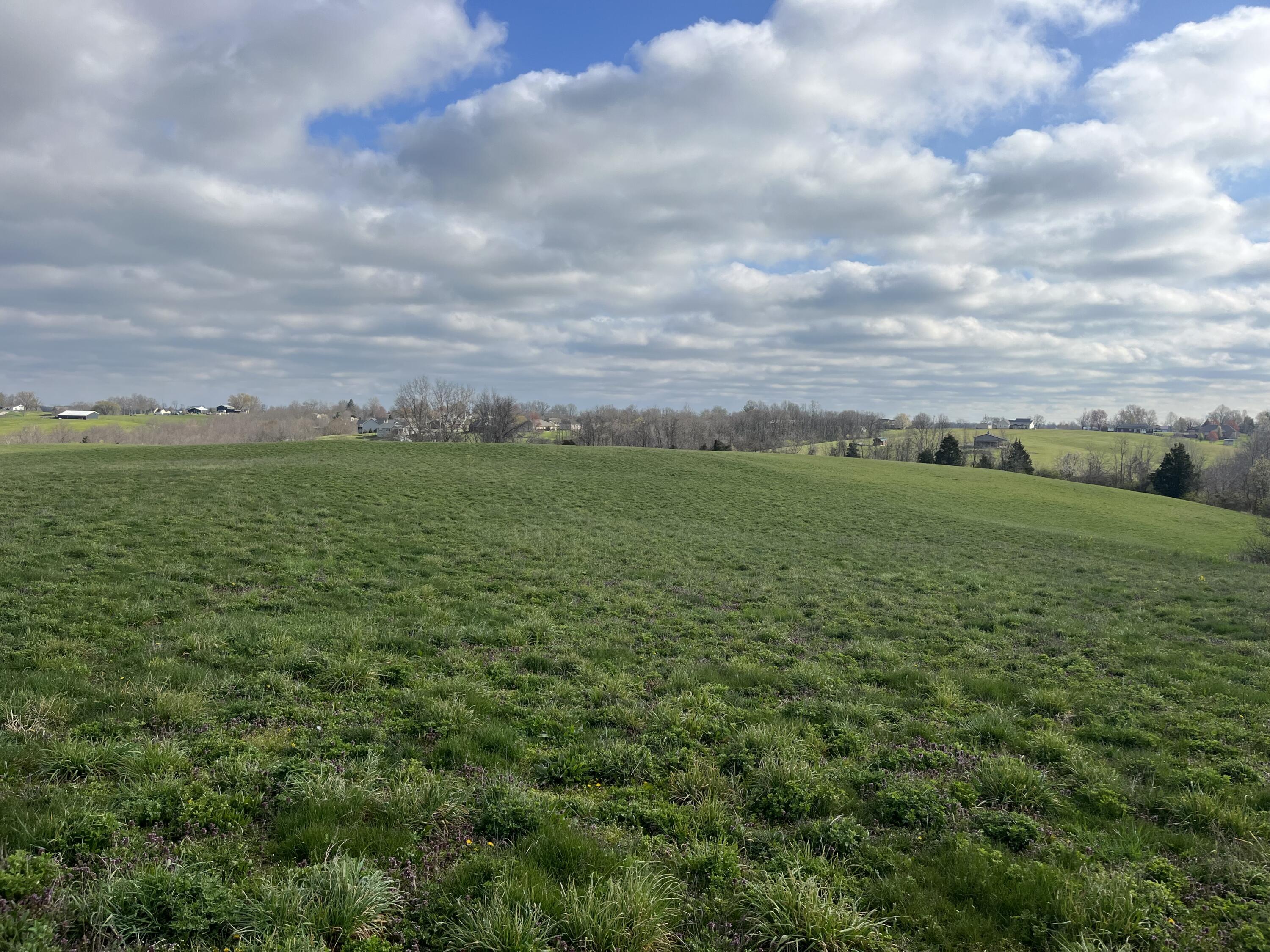 1305 Warsaw Road Dry Ridge, KY 41035 - Photo 6 of 6