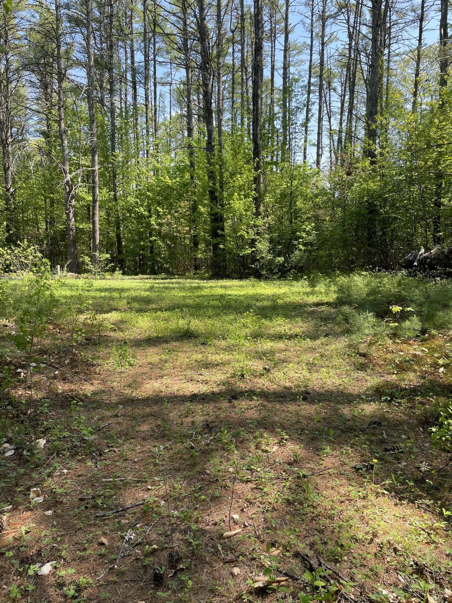 0 Sand Road Naples, ME 04055 - Photo 3 of 8 A8358948-E794-443D-9269-1F7E0E7AB12F