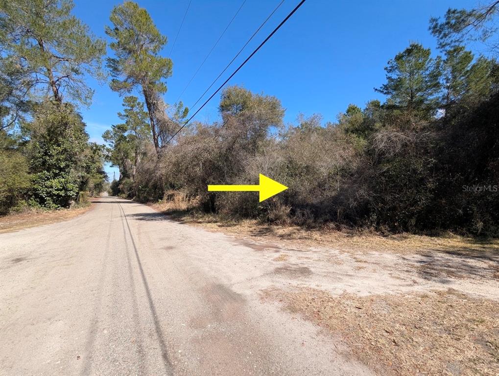 Cochran Road Geneva, FL 32732 - Photo 12 of 28 Gallery Image 12