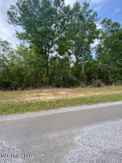 5 Deerwood Road Kiln, MS 39556 - Photo 8 of 10 DW Photo 8