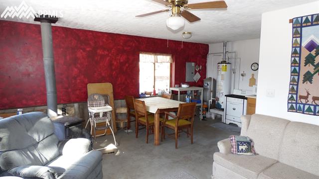 370 Wagonwheel Road Guffey, CO 80820 - Photo 9 of 35 Gallery Image 9