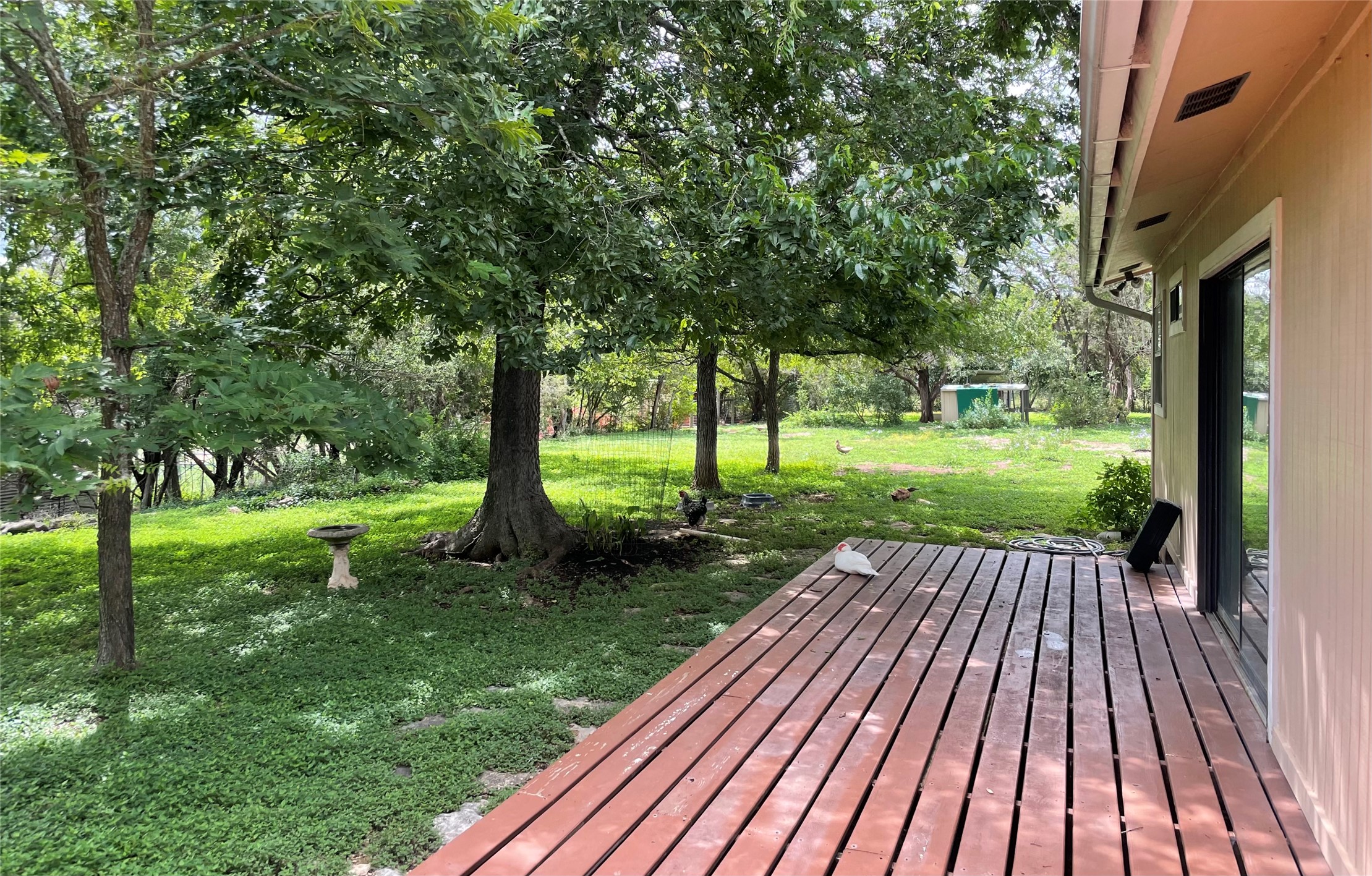 175 Fischer Trail Wimberley, TX 78676 - Photo 15 of 31