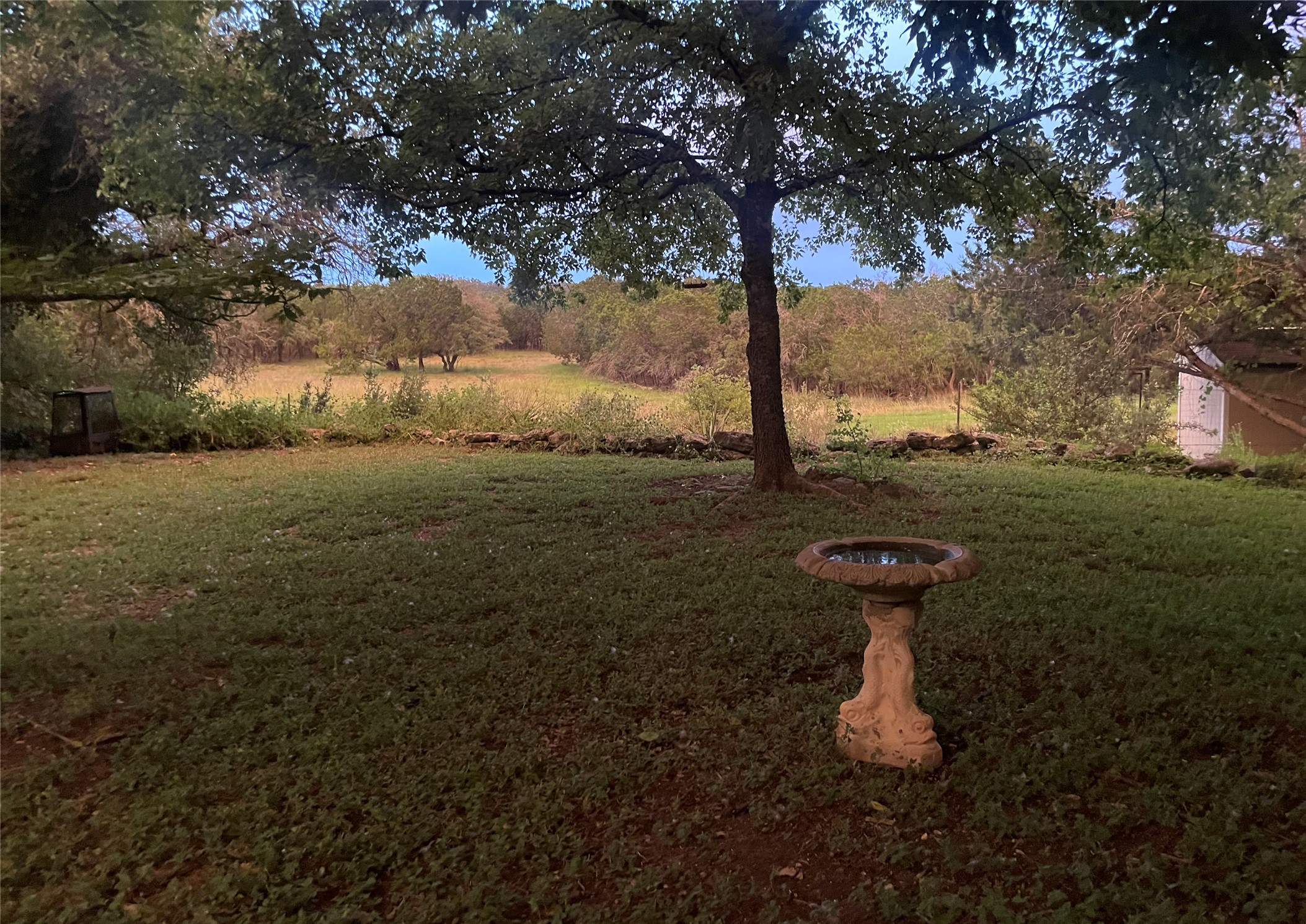 175 Fischer Trail Wimberley, TX 78676 - Photo 16 of 31 a fire hydrant in the middle of a field