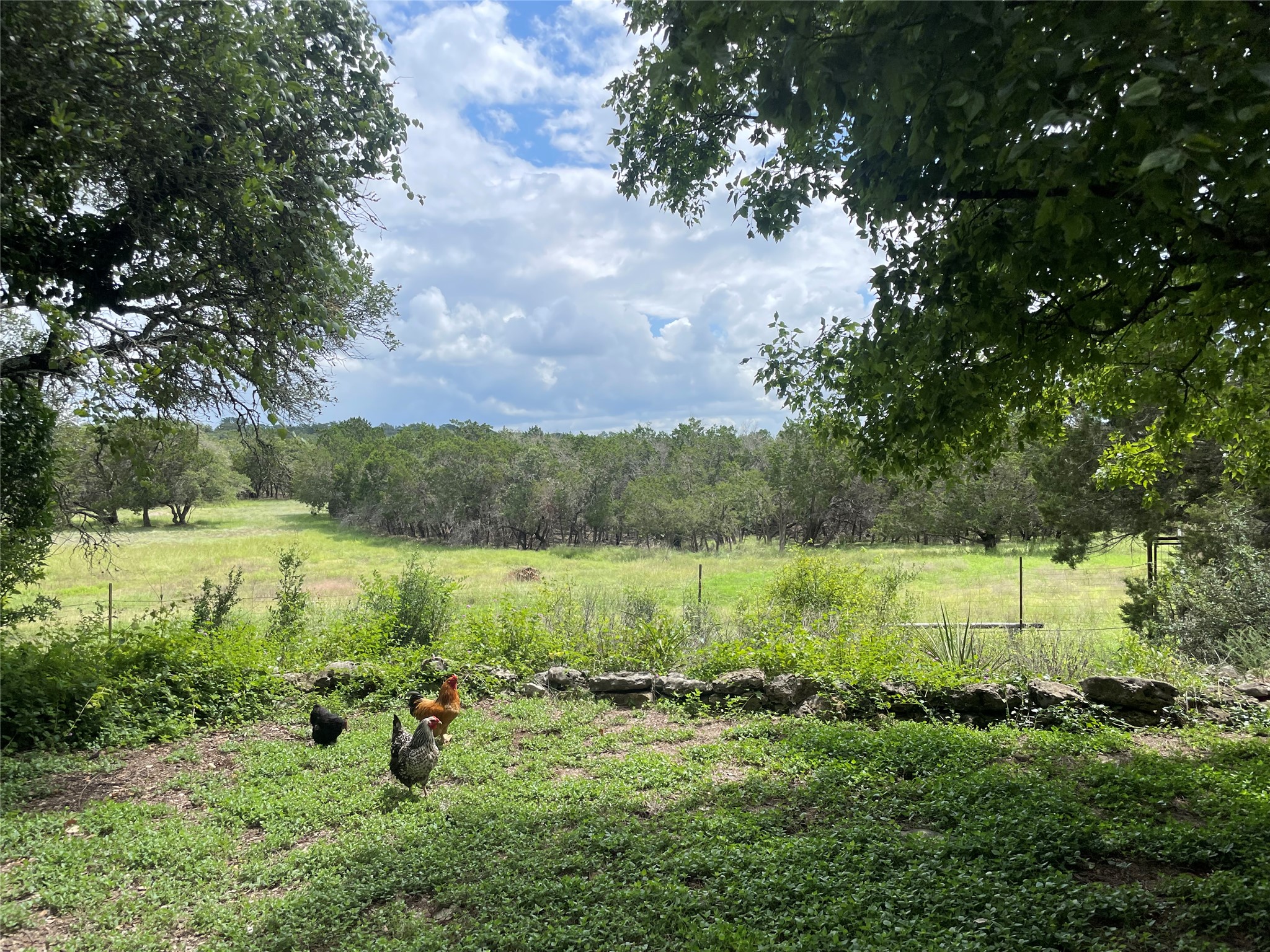 175 Fischer Trail Wimberley, TX 78676 - Photo 20 of 31 a view of a lake with a yard and large trees