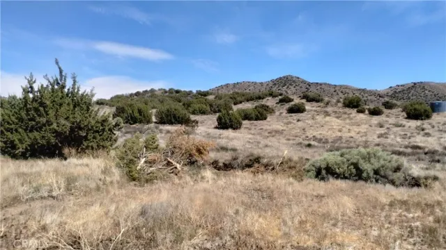 $99,995 | 0 Wisconsin Street, Acton, CA 93510