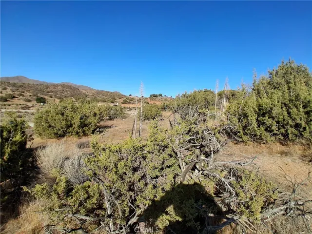 $99,995 | 0 Wisconsin Street, Acton, CA 93510