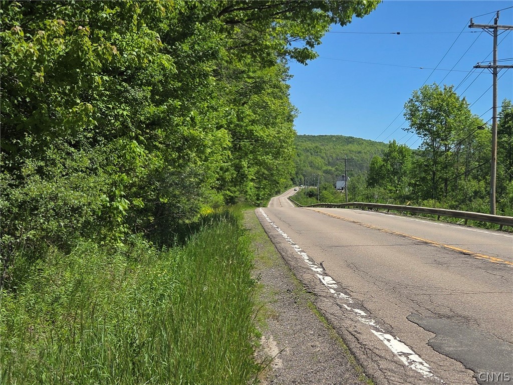446 Nys Route Cuba, NY 14727 - Photo 6 of 47