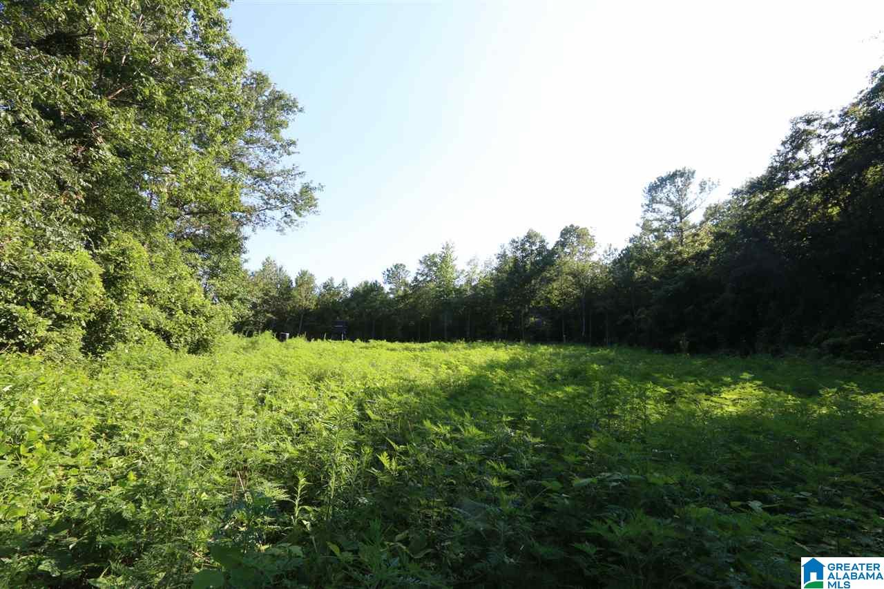 0 Carnes Chapel Road, Unit 113 Gallant, AL 35972 - Photo 28 of 32