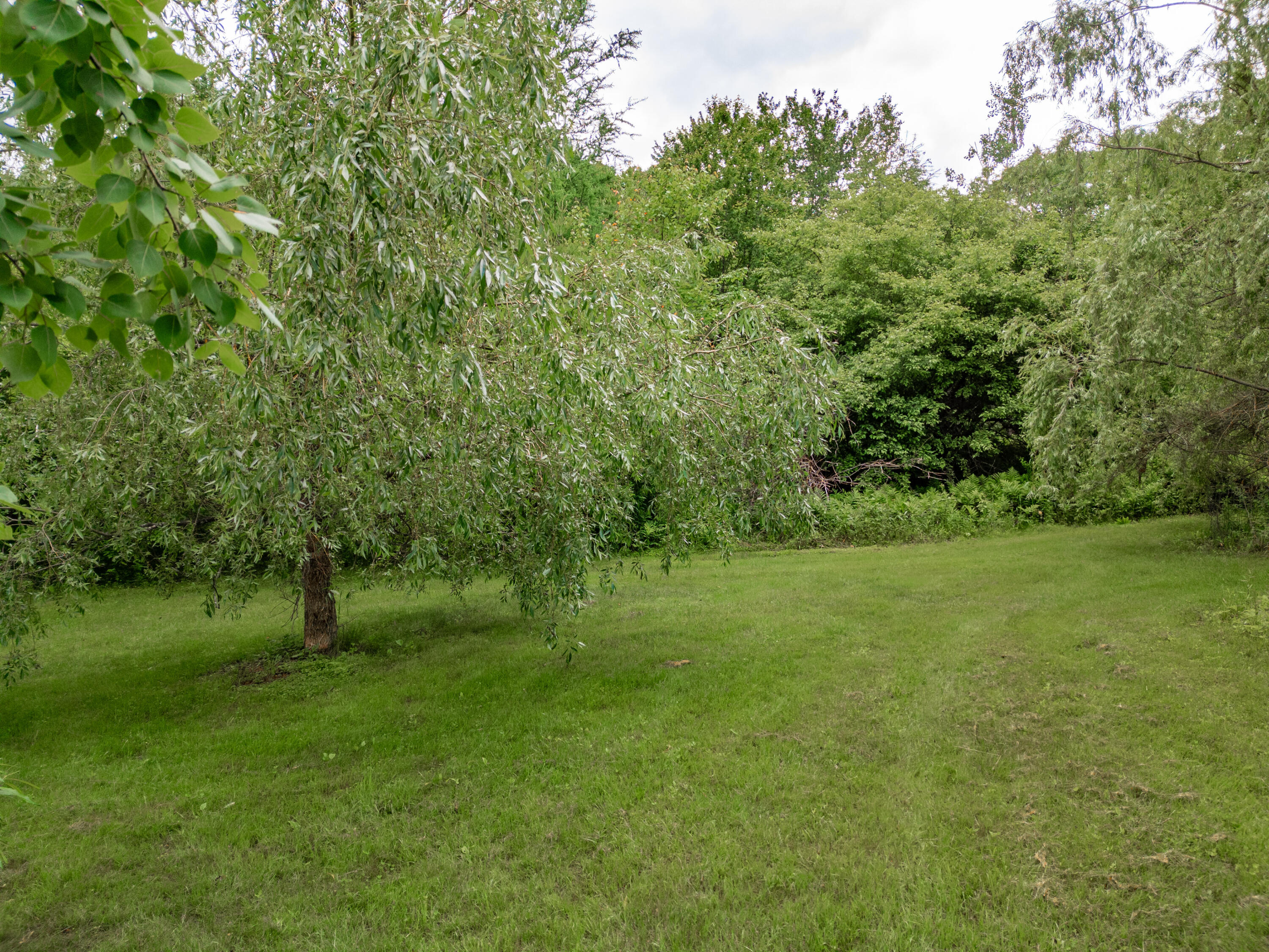 701 Old Augusta Road Waldoboro, ME 04572 - Photo 78 of 82 Field