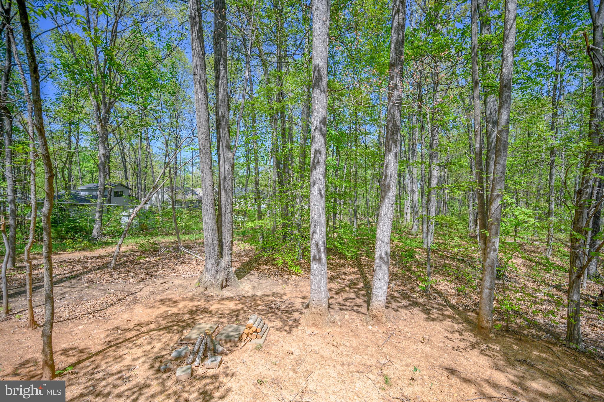 202 Constitution Boulevard Locust Grove, VA 22508 - Photo 37 of 51 Back property