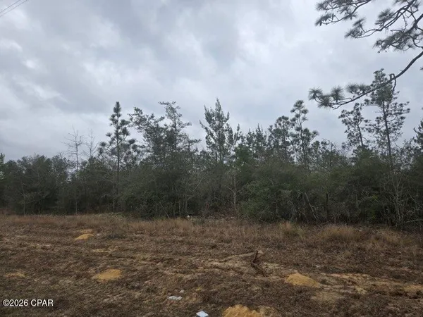 $72,900 | 0 Northwest Nw Cr, Altha, FL 32421