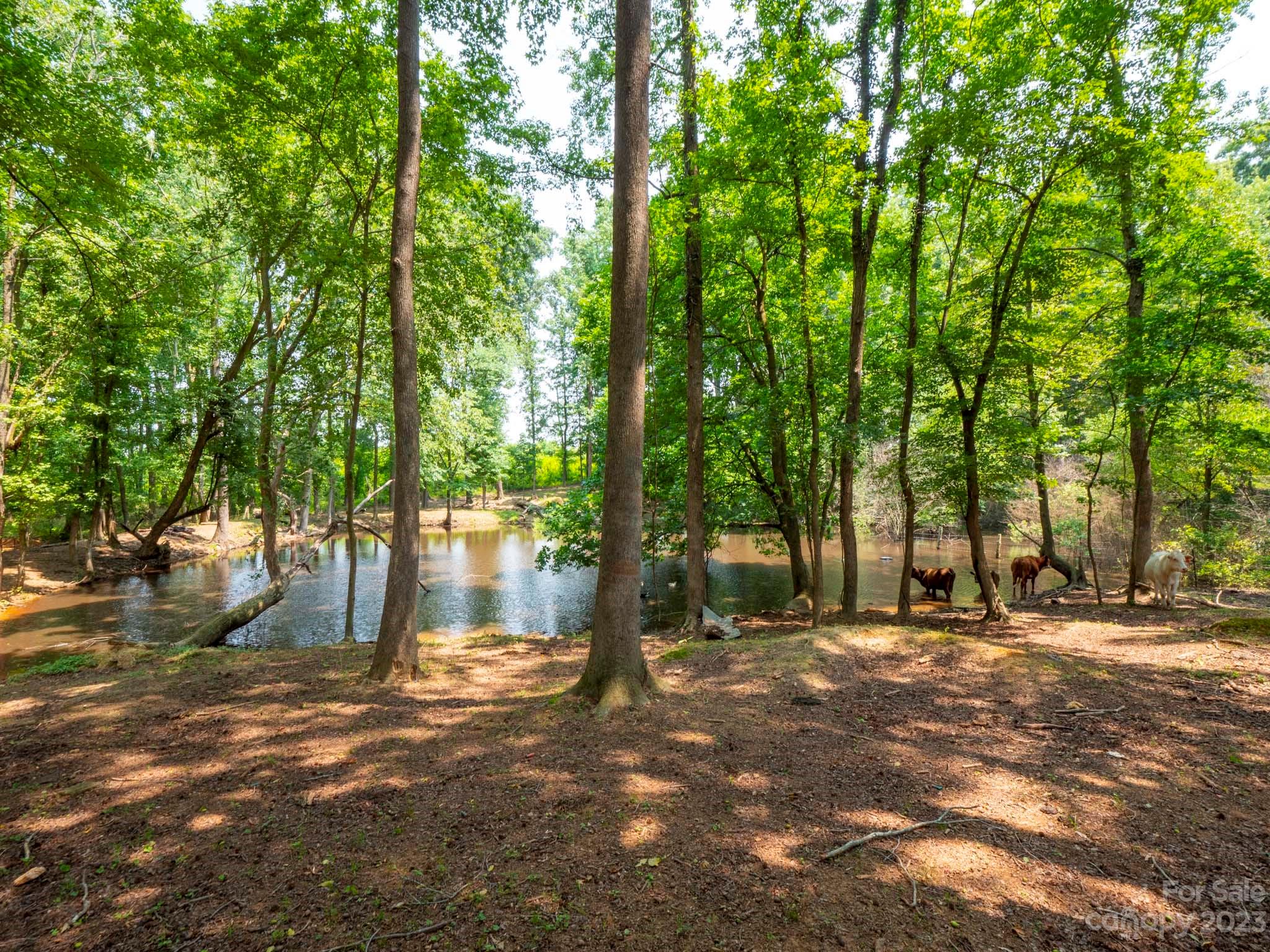 5627 Stack Road Monroe, NC 28112 - Photo 25 of 44 a backyard of a house with lots of green space