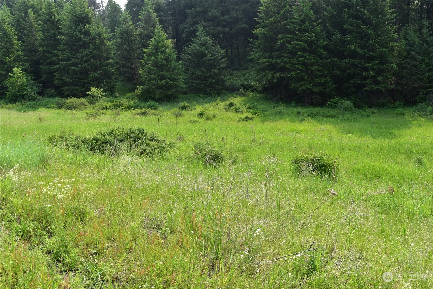 65 Knob Hill Road Republic, WA 99166 - Photo 11 of 12 a view of a lush green space