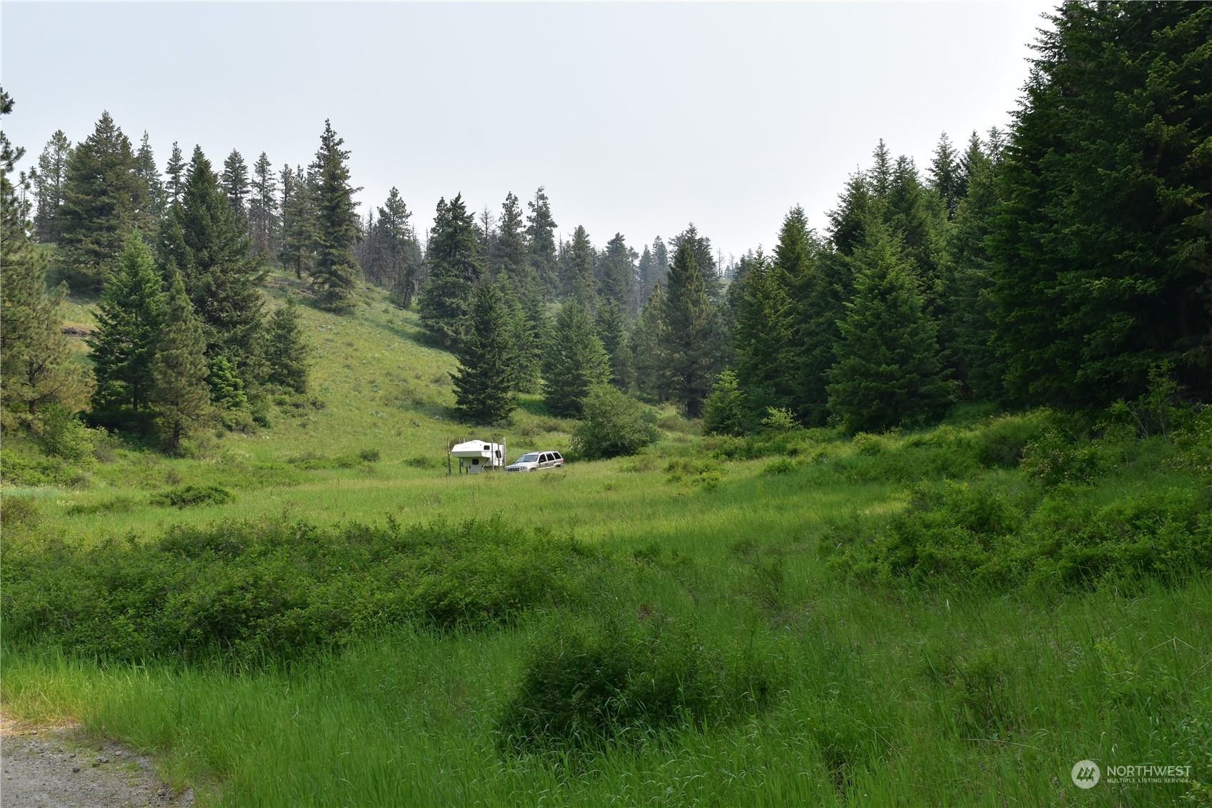 65 Knob Hill Road Republic, WA 99166 - Photo 12 of 12 a view of a lush green space with sea