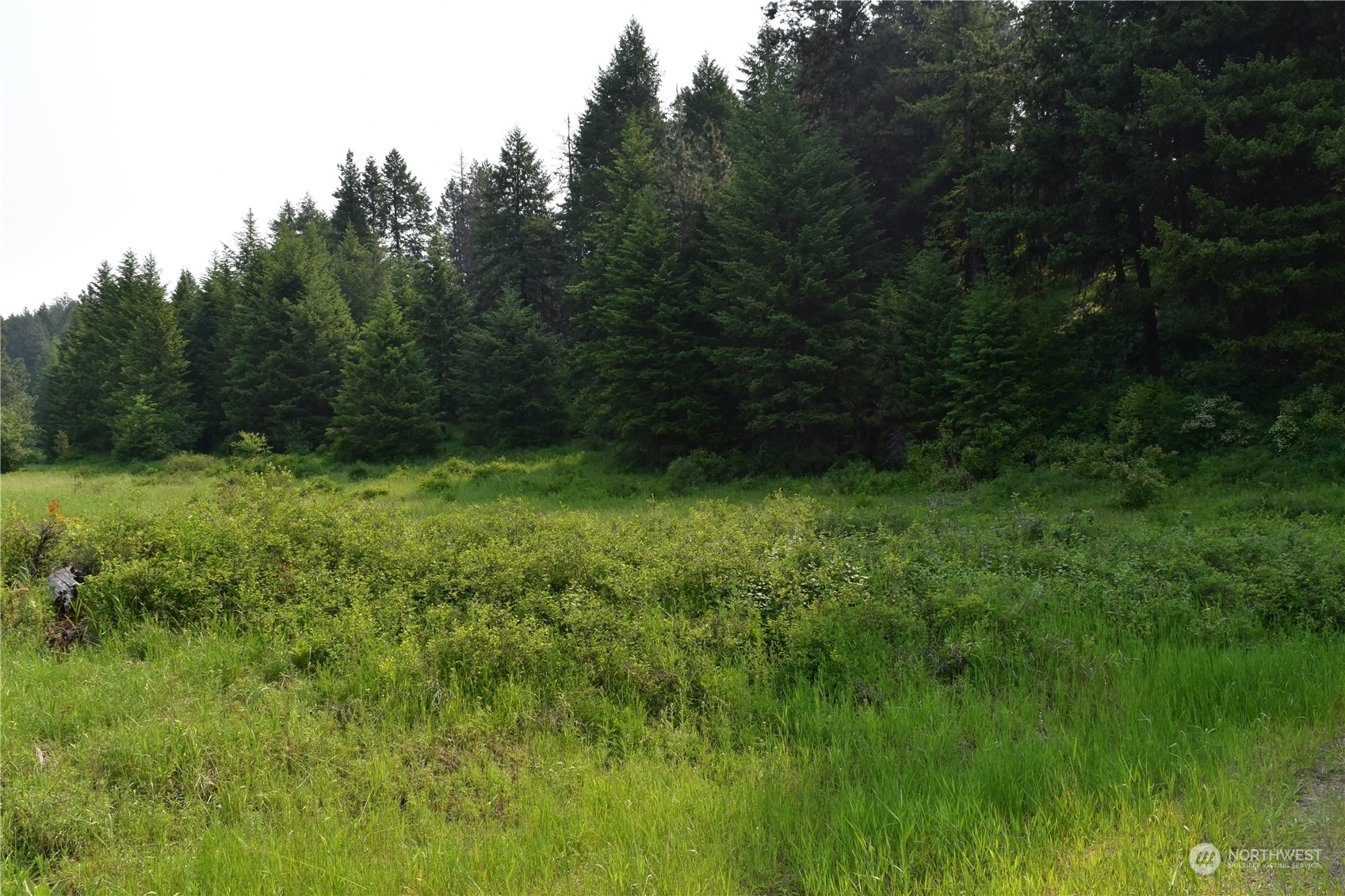 65 Knob Hill Road Republic, WA 99166 - Photo 2 of 12 a view of an outdoor space with a lake view