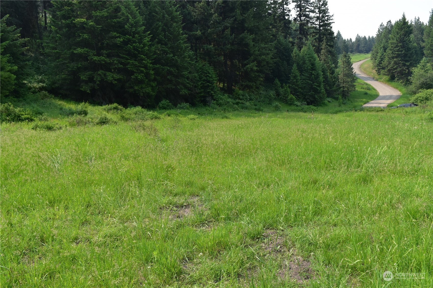 65 Knob Hill Road Republic, WA 99166 - Photo 10 of 12 a view of a green yard