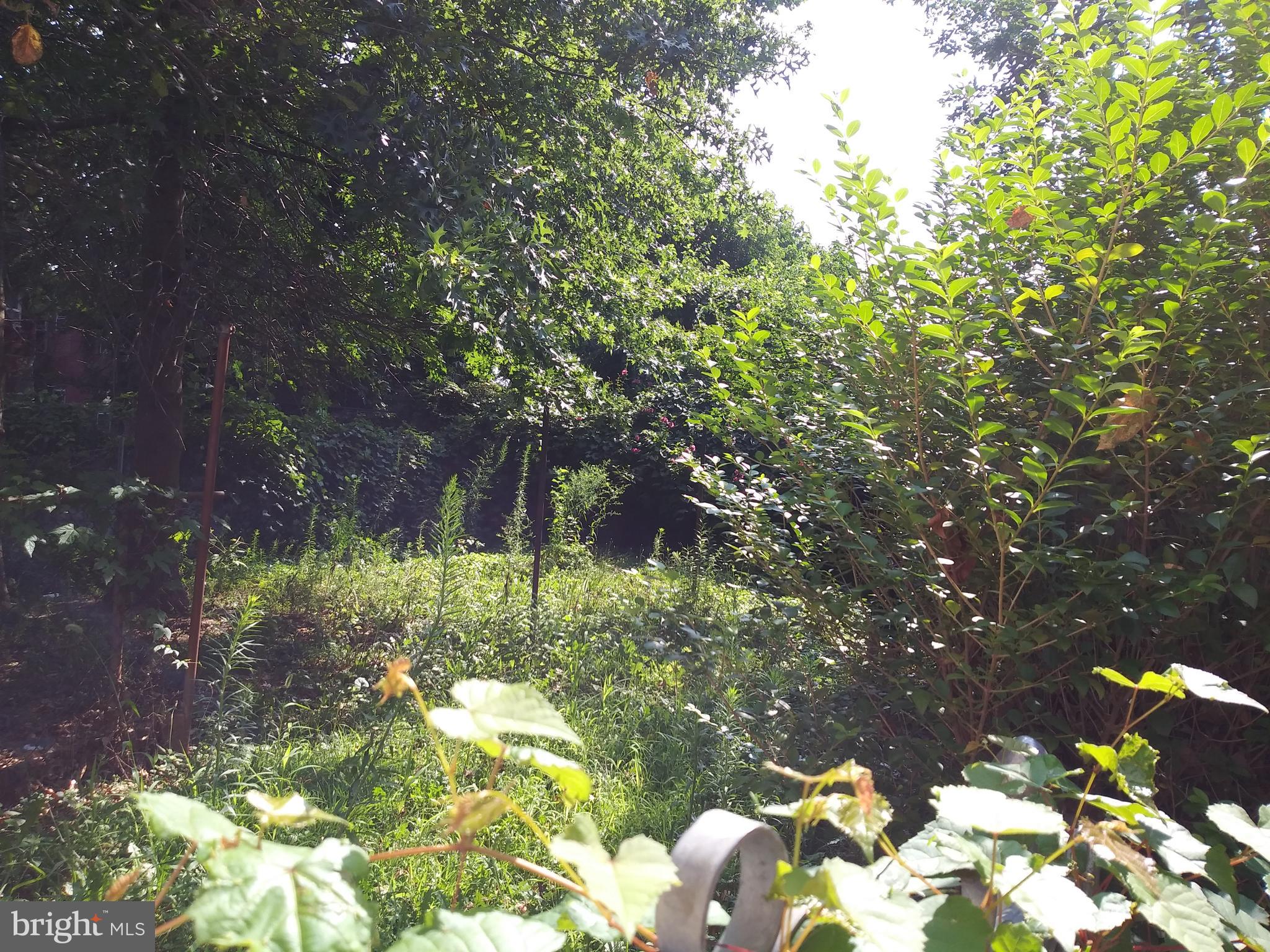 1925 North 25th Street Philadelphia, PA 19121 - Photo 9 of 9