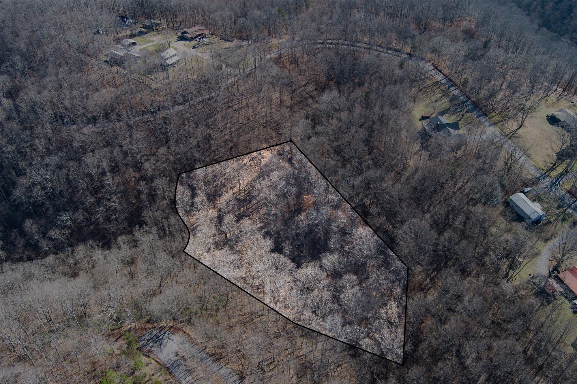 0 Holiday Haven Road Smithville, TN 37166 - Photo 3 of 7 a view of a dry yard with trees