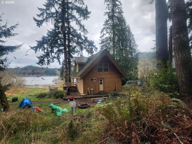 a view of backyard with plants and large trees