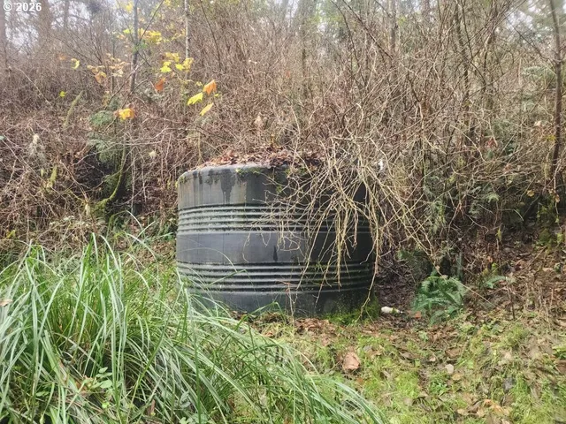 a view of bushes and trees