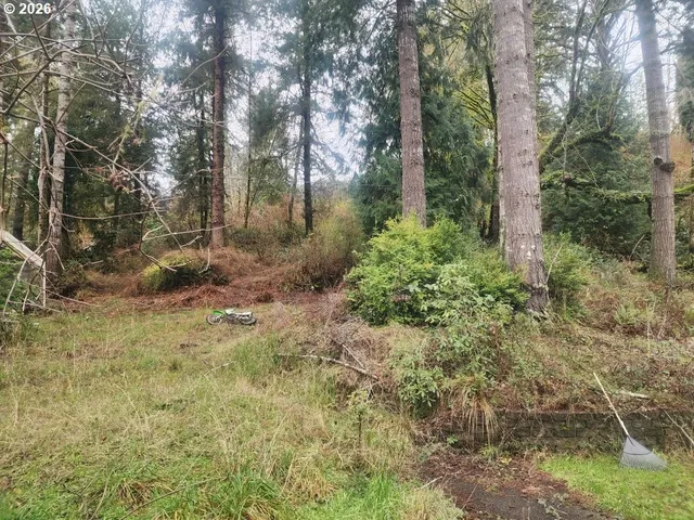 a view of a yard with trees