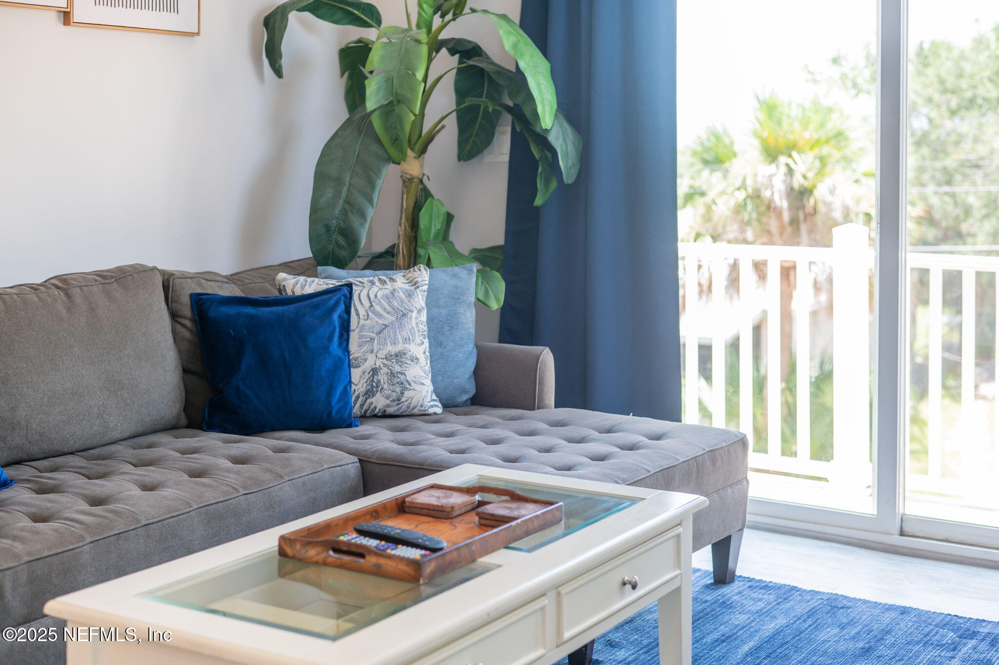 239 Riberia Street St. Augustine, FL 32084 - Photo 7 of 88 a bedroom with a bed and a potted plant