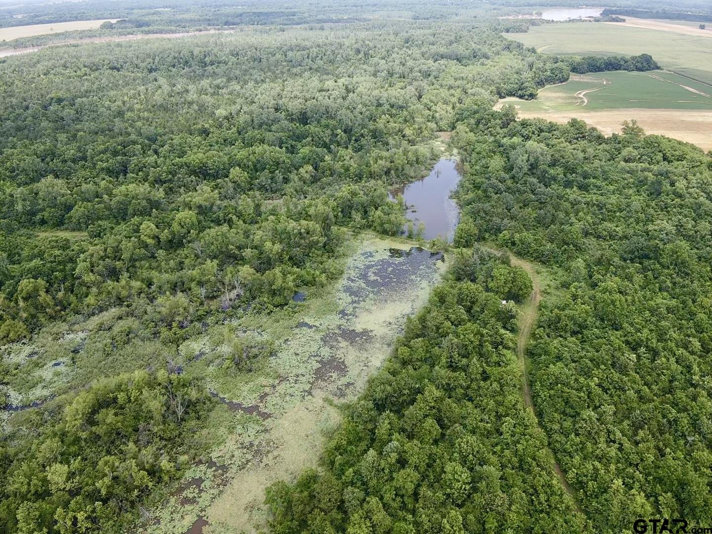 14546 Highway 271 Tyler, TX 75708 - Photo 23 of 33 Gallery Image 23