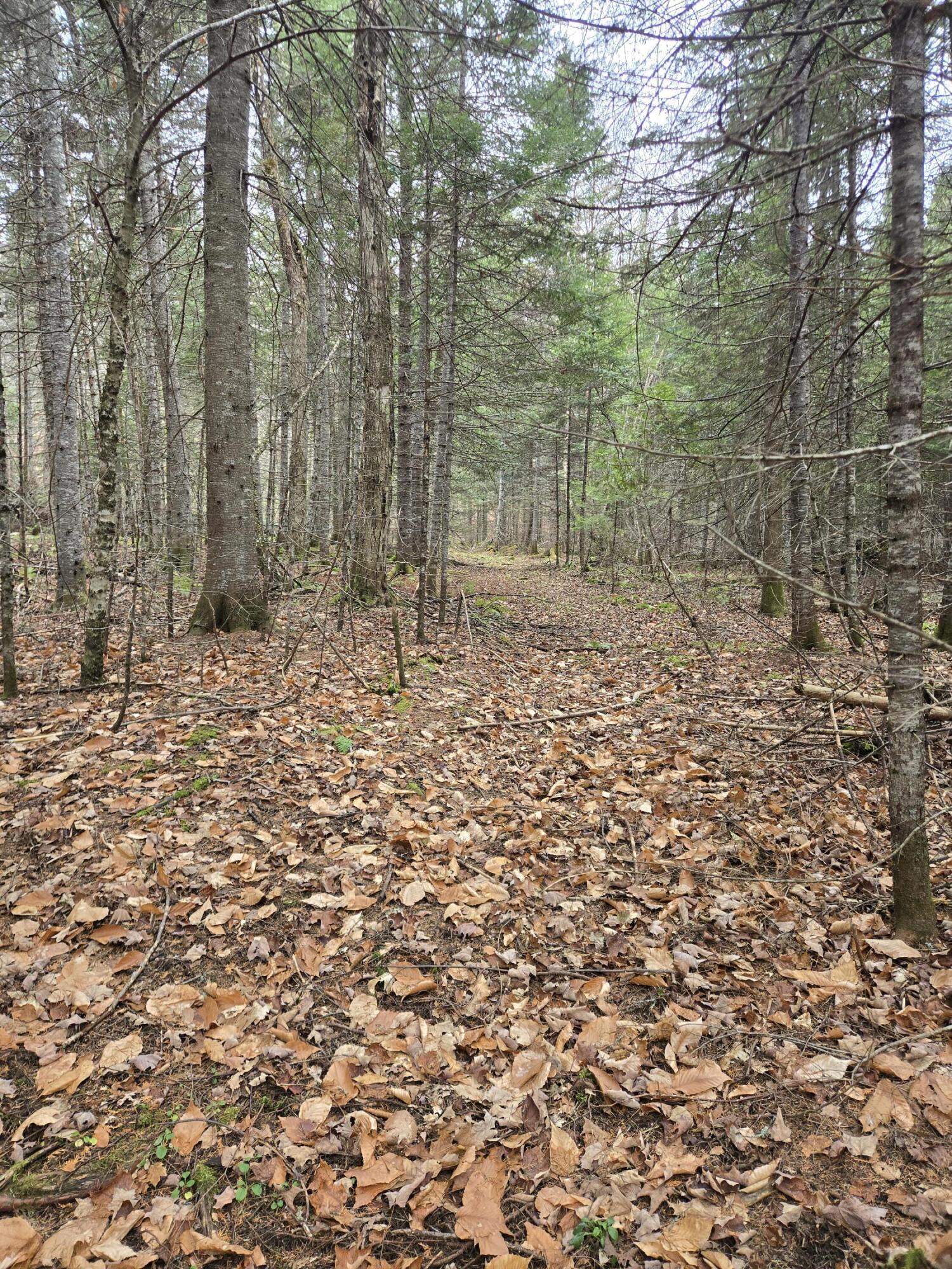 469 East Cottage Road Portage, ME 04768 - Photo 31 of 63 20241120_104024