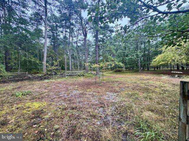 338 Ridge Road Browns Mills, NJ 08015 - Photo 31 of 38 a view of a field with trees in the background