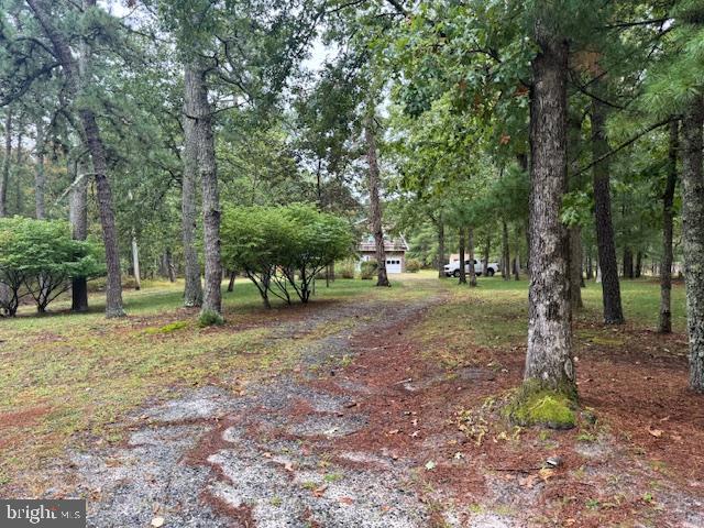 338 Ridge Road Browns Mills, NJ 08015 - Photo 36 of 38 a view of a tree in the middle of a yard