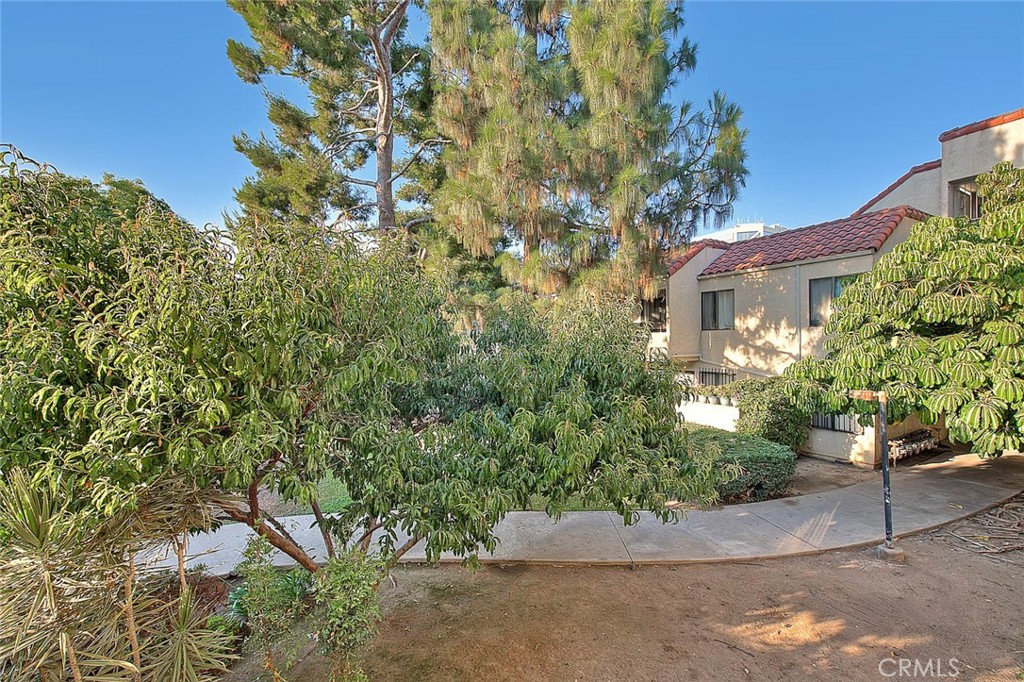 700 West 3rd Street, Unit A111 Santa Ana, CA 92701 - Photo 14 of 15 a view of a garden with plants