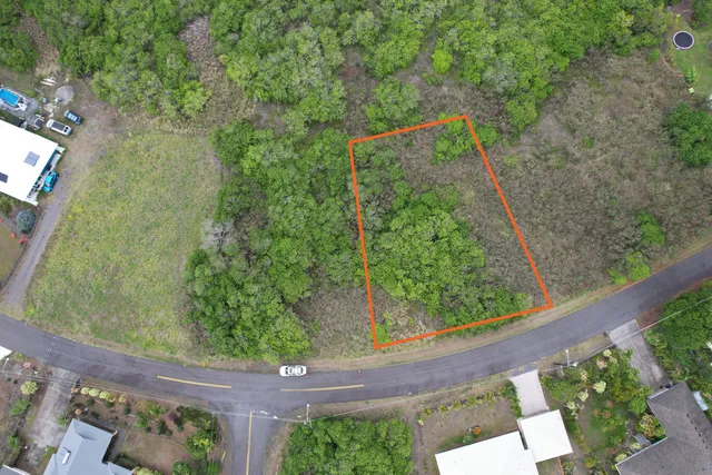 a view of a yard with plants