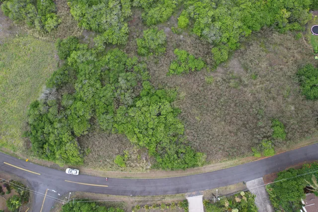 a view of a yard with plants