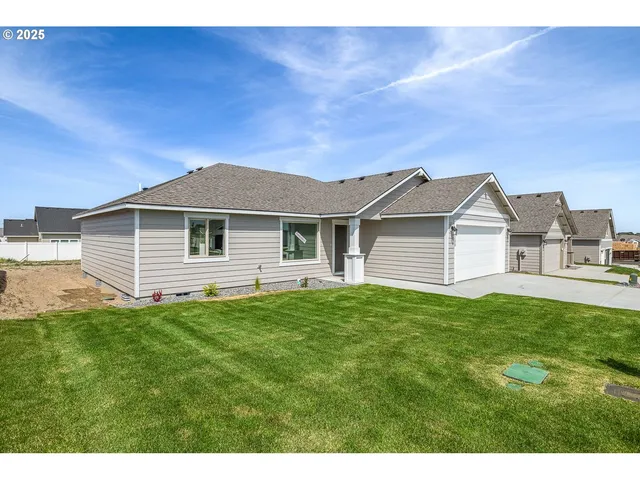a view of a yard in front of a house with a large tree