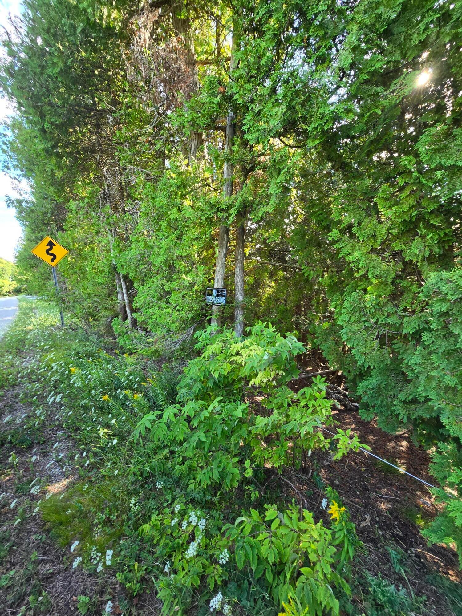 West Gros Cap Road St. Ignace, MI 49781 - Photo 11 of 48 The trail to the bottom is here
