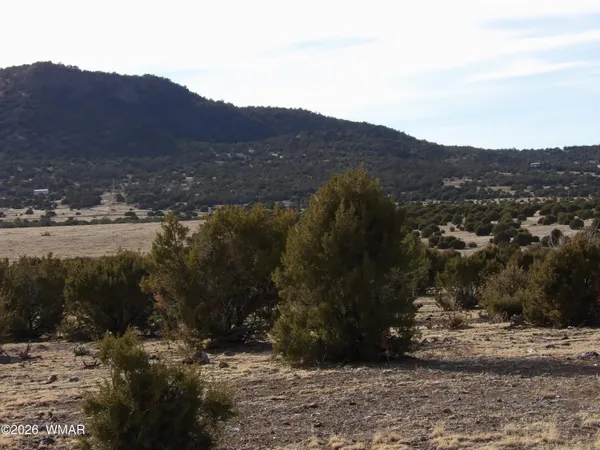 a view of outdoor space and mountain view